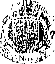109/109520020000190_0.png