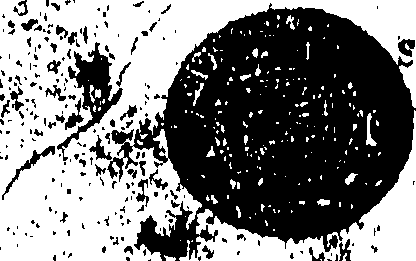 109/109530150003600_0.png