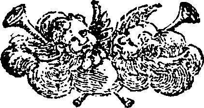 109/109610050001130_0.png