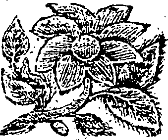 109/109650100002180_0.png