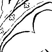 109/109720050002310_1.png