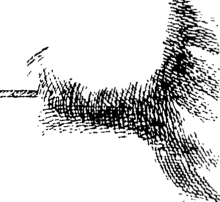 109/109720050002730_1.png