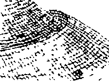 109/109720050002810_1.png