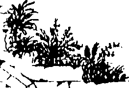 109/109720050003000_0.png