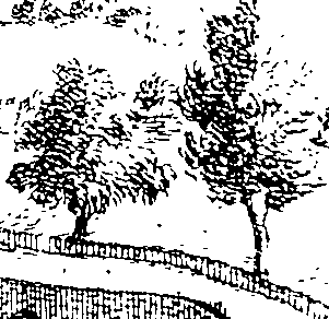 109/109720050003090_1.png