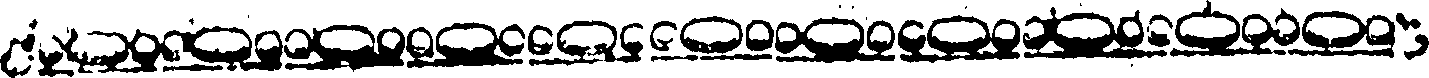 110/110080250000010_0.png
