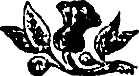 110/110090070001210_0.png