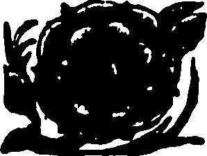 110/110090070002250_0.png