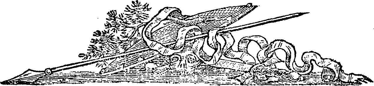 110/110210050000020_0.png