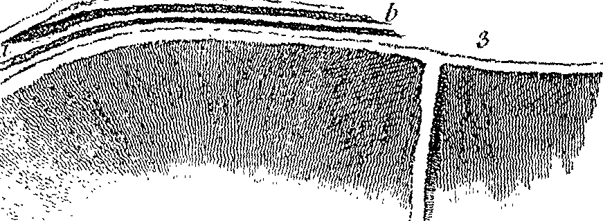 110/110210120000050_1.png