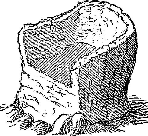 110/110210130000030_0.png