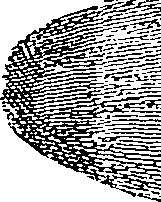 110/110210160000060_0.png