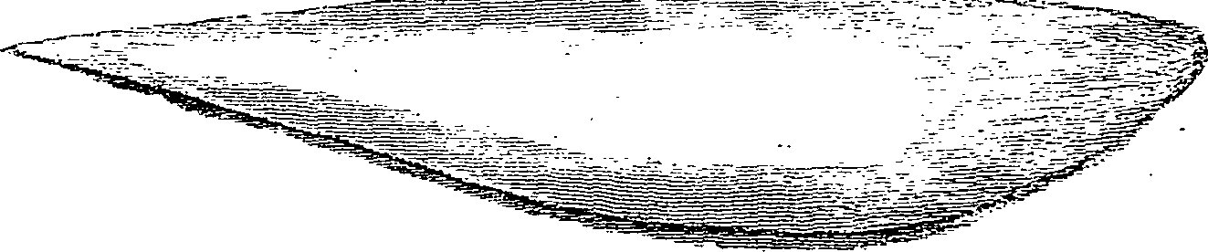 110/110210160000060_1.png