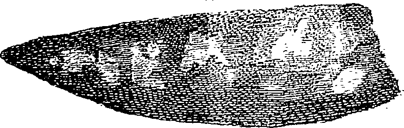 110/110210160000060_2.png