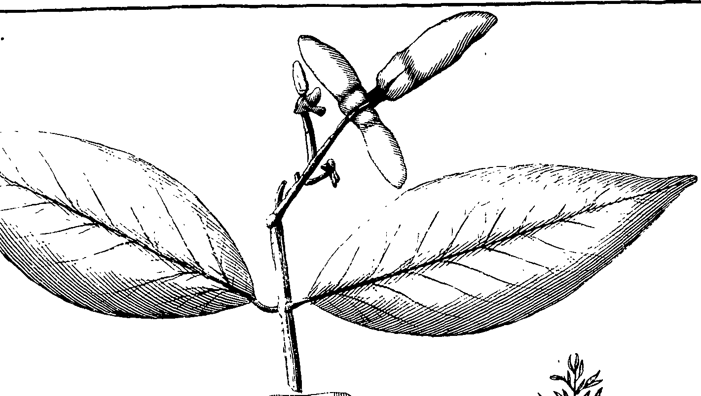 110/110220030100100_2.png
