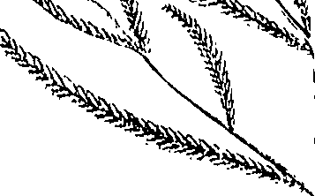 110/110220030100120_0.png