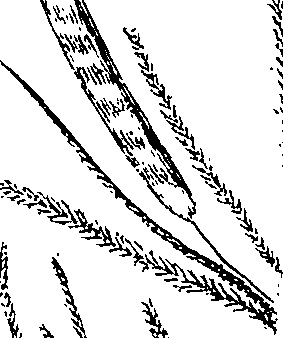 110/110220030100120_1.png