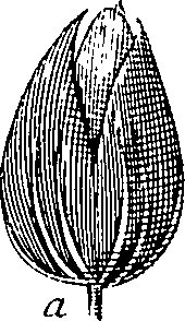 110/110220030100130_0.png