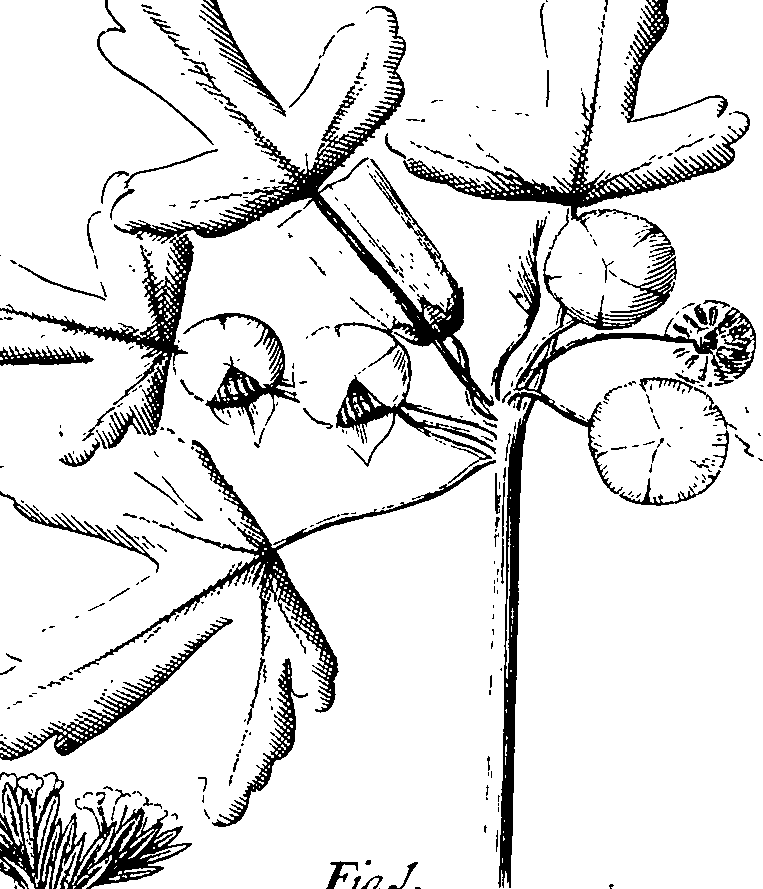 110/110220030100130_2.png