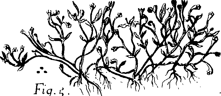 110/110220030100140_0.png