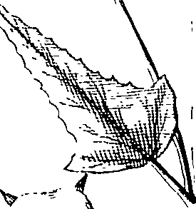 110/110220030100140_2.png