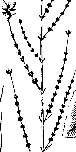 110/110220030100140_3.png
