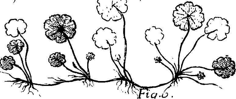 110/110220030100140_4.png