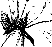 110/110220030100150_0.png
