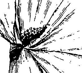 110/110220030100150_1.png