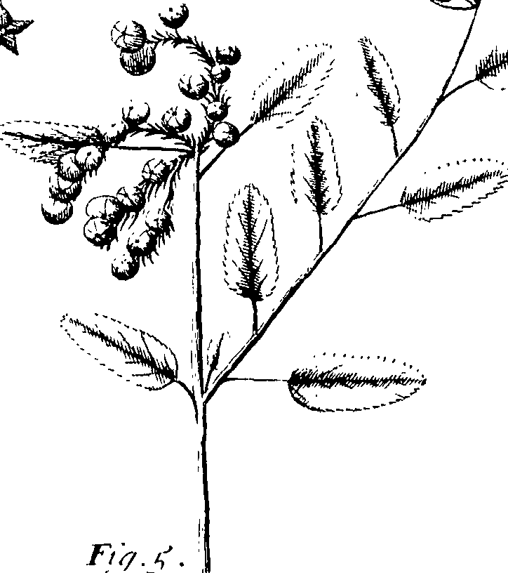 110/110220030100160_0.png