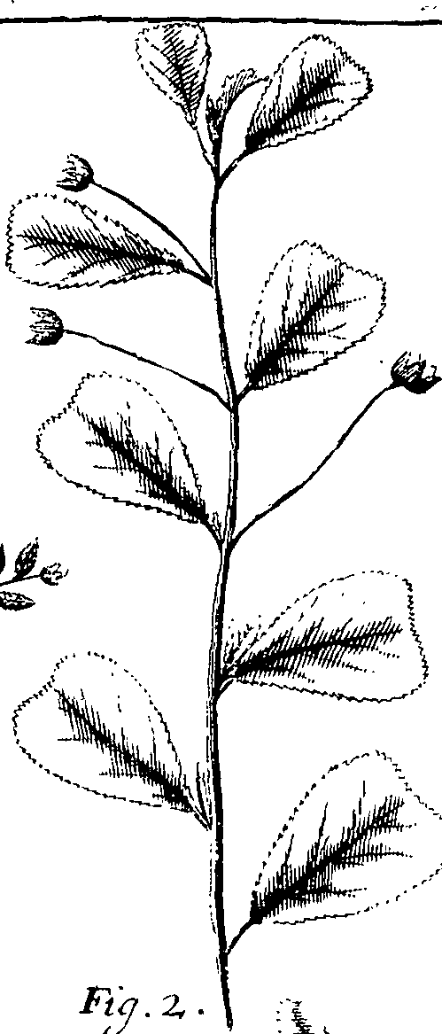 110/110220030100160_1.png