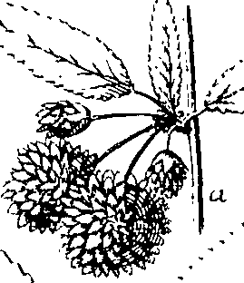 110/110220030100180_0.png