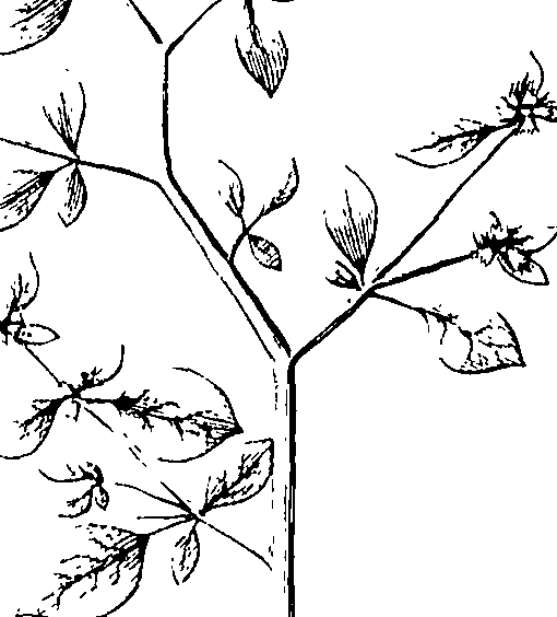 110/110220030100190_0.png