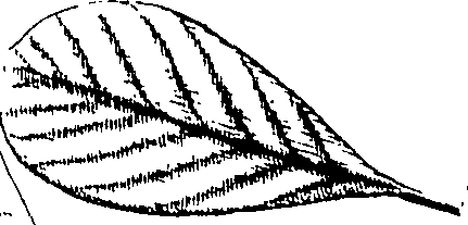 110/110220030100200_0.png