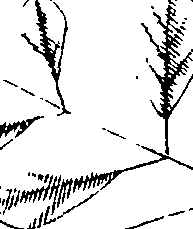 110/110220030100200_1.png