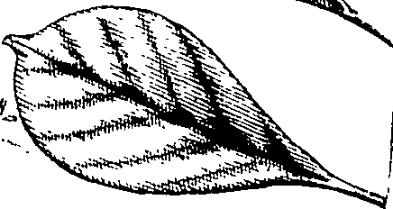 110/110220030100200_2.png