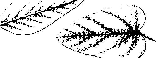 110/110220030100200_3.png