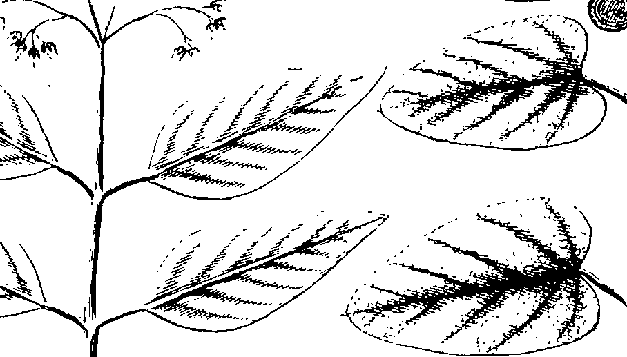 110/110220030100200_4.png