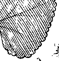 110/110220030100220_0.png