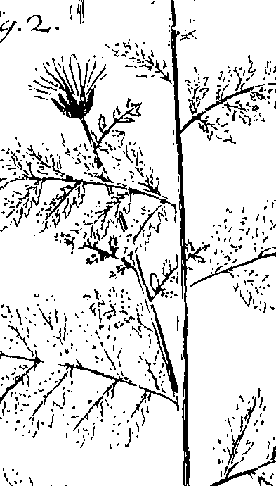 110/110220030100240_0.png
