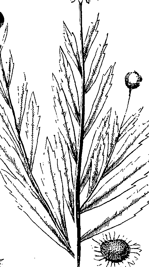 110/110220030100240_1.png