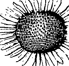 110/110220030100240_2.png