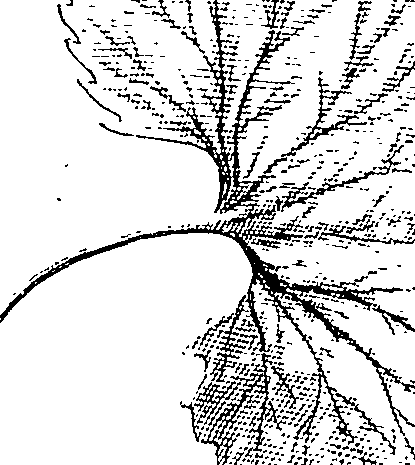 110/110220030100250_0.png