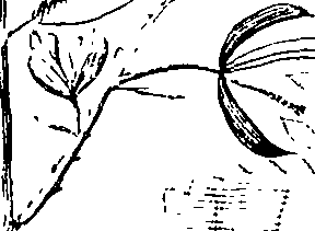 110/110220030100250_1.png
