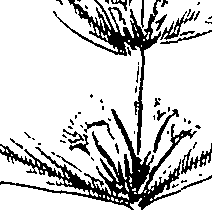 110/110220030100250_2.png