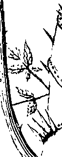 110/110220030100260_0.png