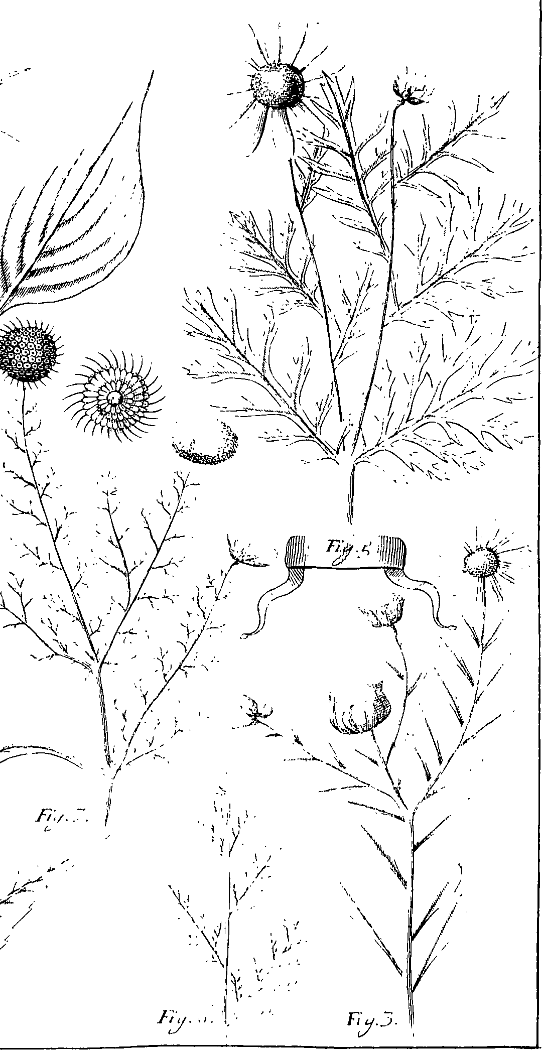 110/110220030100270_0.png