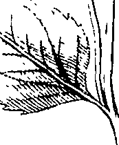 110/110220030100280_0.png