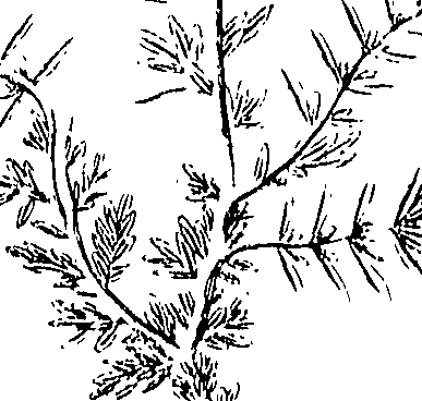 110/110220030100290_0.png
