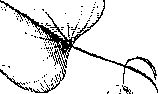 110/110220030100310_0.png